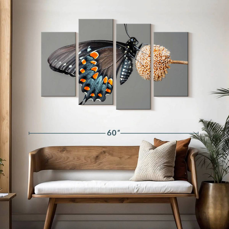 Black Swallowtail Butterfly