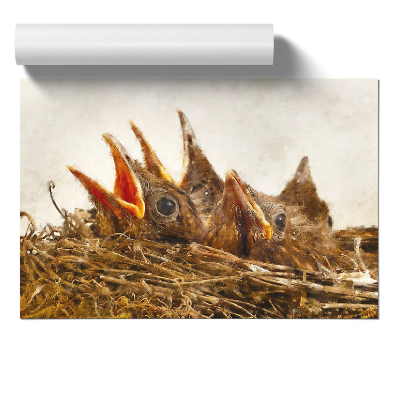 Baby Birds In The Nest - No Frame Print, 42cm H x 59cm W x 0.1cm D