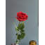 Arrangement de roses