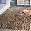 Tapis beige / brun en laine touffeté à la main Breanna-2095688447