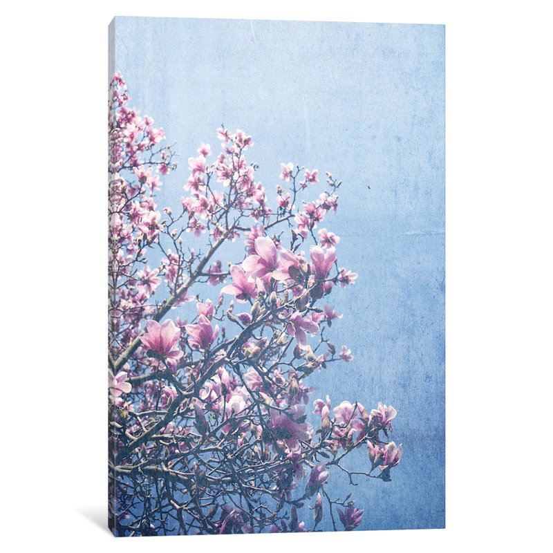 " She Bloomed Everywhere She Went " by Olivia Joy, 12" H x 8" W x 0.75" D, No Mat, Wrapped Canvas