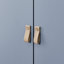 Armoire de rangement avec porte