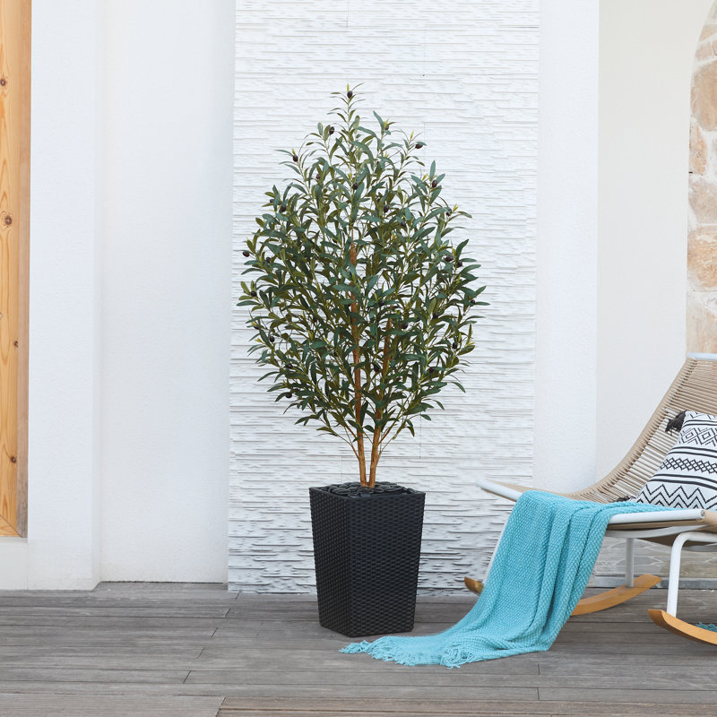 Adcock Faux Olive Tree with UV Protection, 2 Natural Tree Trunks, Large Decorative Potted Olive Tree, Black