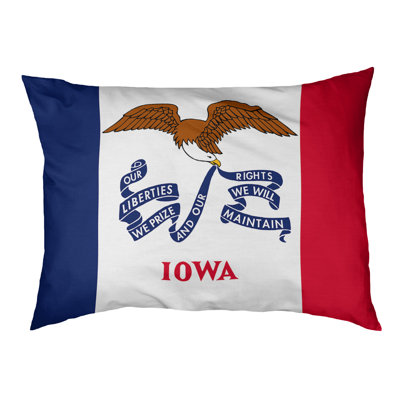 Coussin stylisé iowa flag Burien