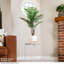 90cm Palm Tree in Pot