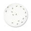 Piece Ceramic Dinnerware Set