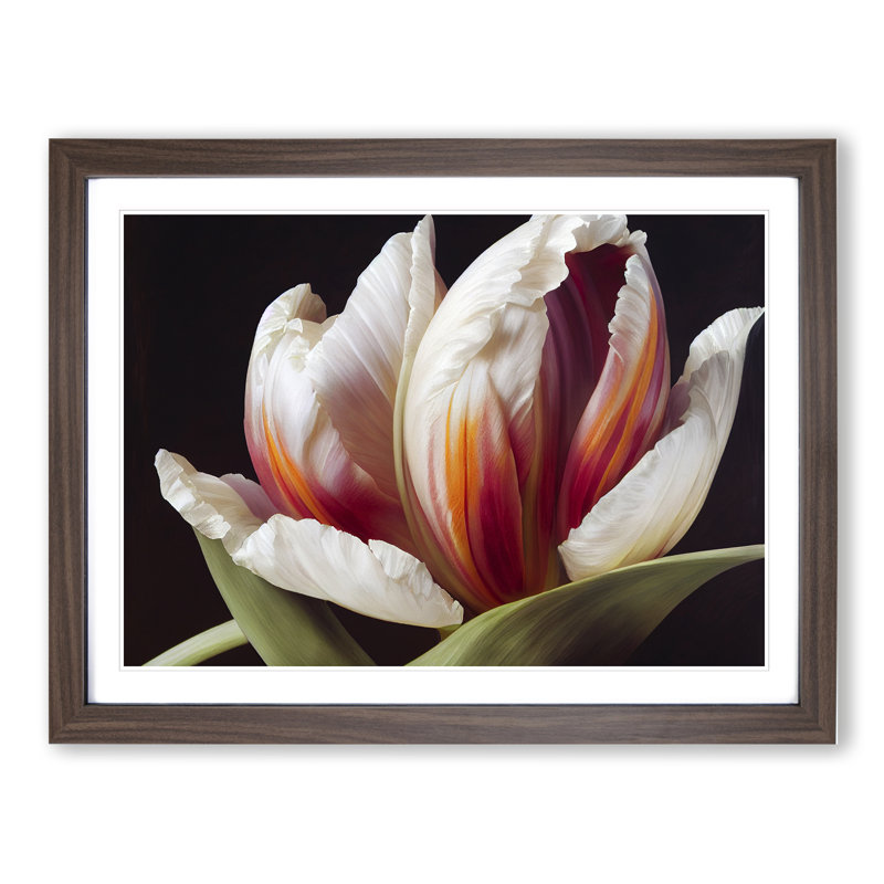 Feisty Flower - Single Picture Frame Print, 46cm H x 64cm W x 2cm D, Walnut