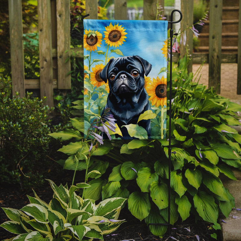 Lévrier irlandais dans le drapeau du jardin de tournesols, Pug noir