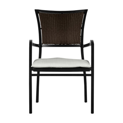 Aire Arm Chair - Ancient Earth/Black Walnut