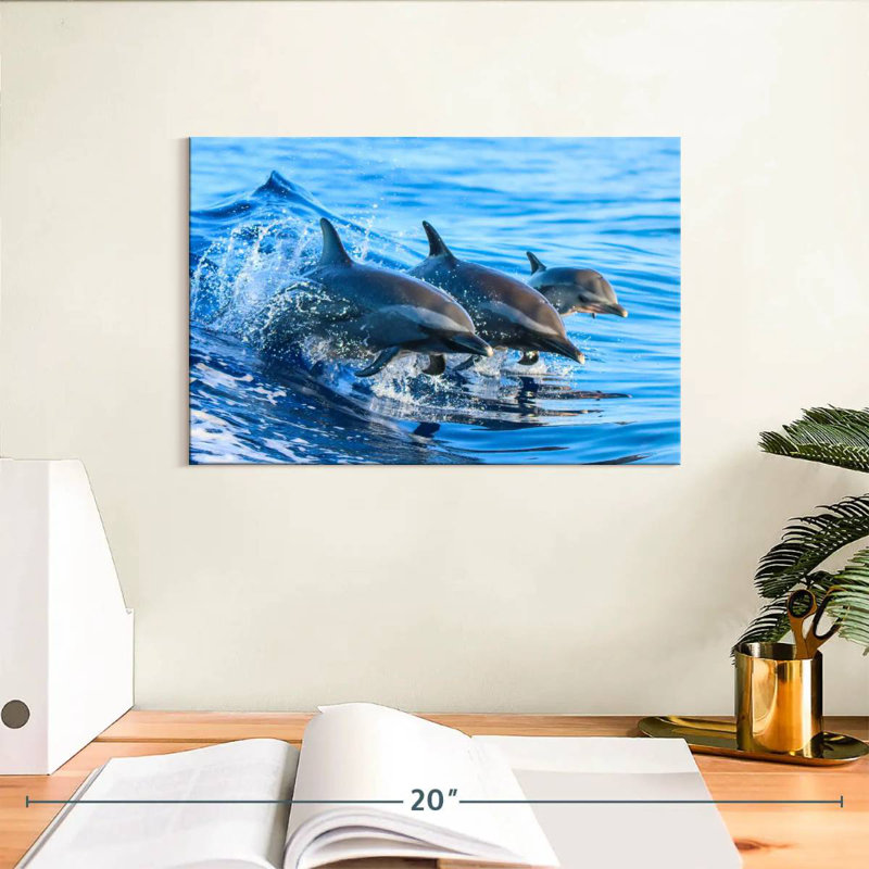 Crowle Surfing Dolphins, H 8 po x l 12 po