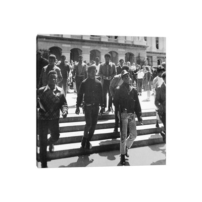 " Black Panthers, 1967 "