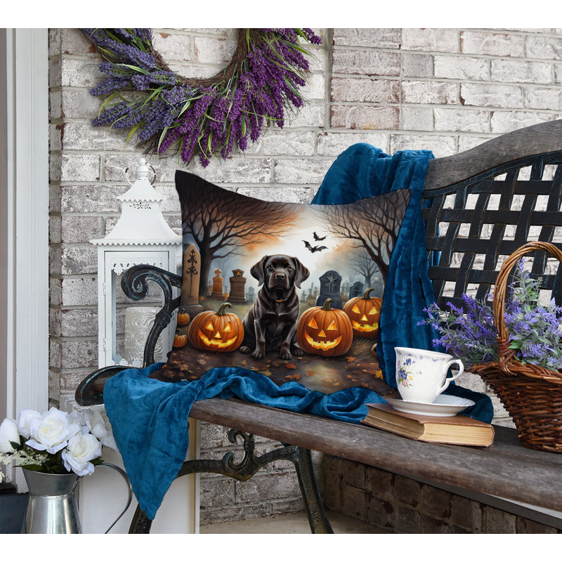 Other/No Pattern Outdoor Throw Pillow, 18" x 18"