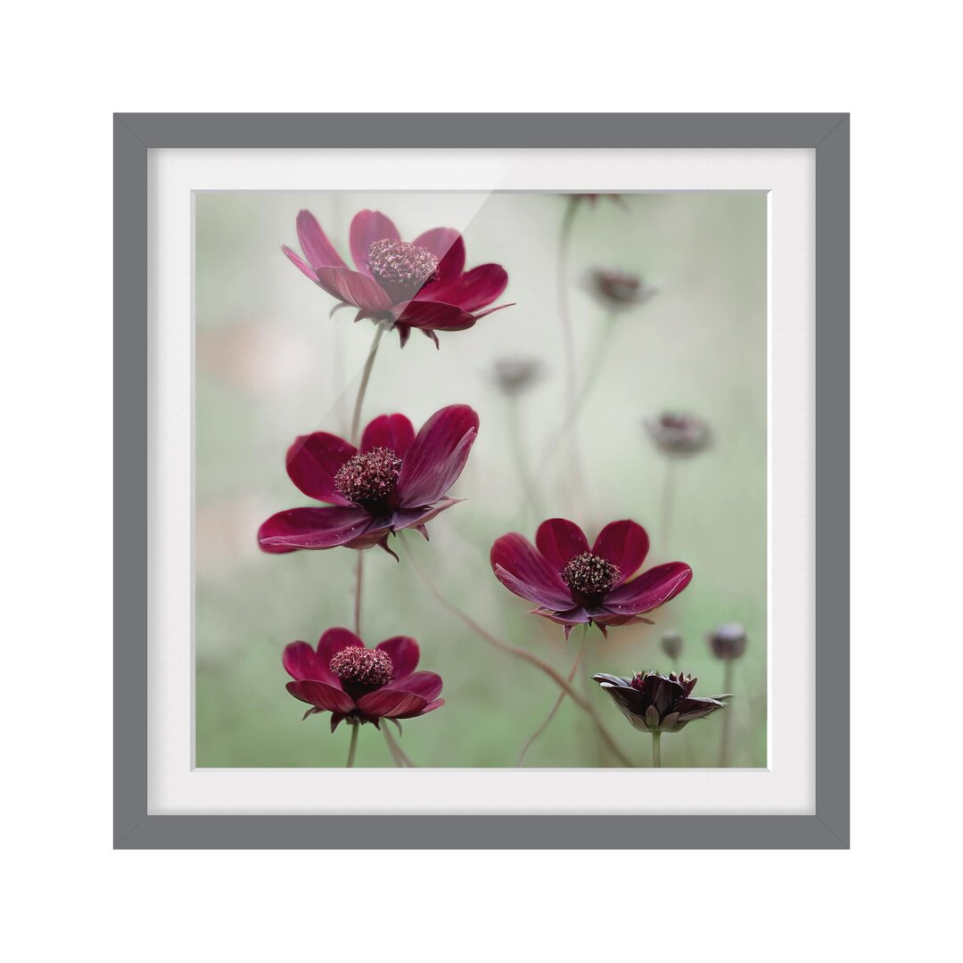 Gerahmtes Poster Pink Flowers