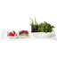 Villeroy & Boch New Wave Individual Dessert Bowl