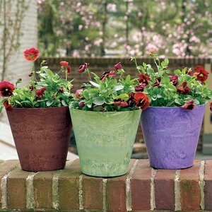 Foundry Select Carrero Pot Planter & Reviews | Wayfair