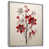 Silver Floater Framed