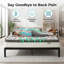 Langfang Liu Tai Furniture Pocket Sprung Mattress-117788285