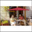 Parasol de table 10 pi