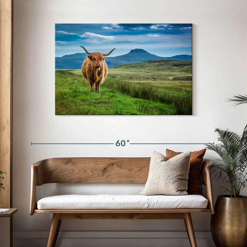 Brampt Skye Highland Cow, H 30 po x l 45 po