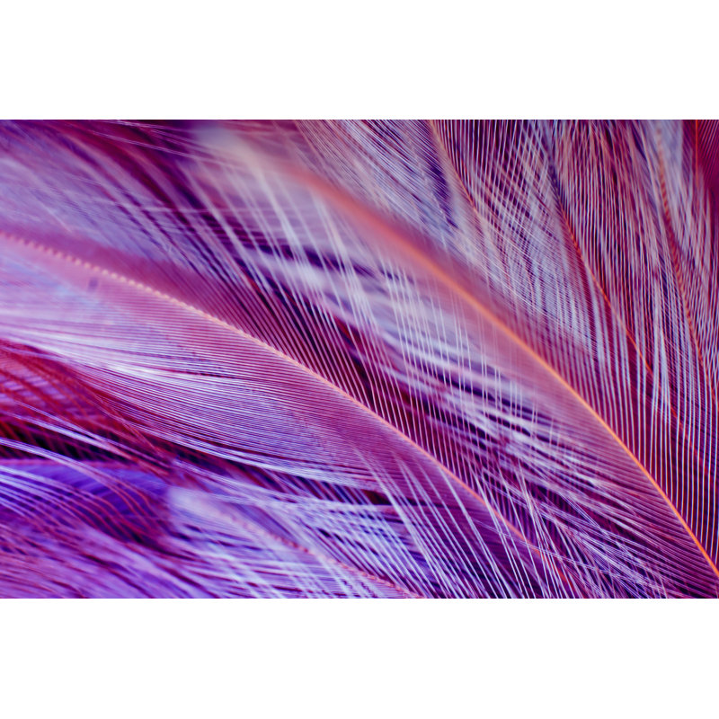 Violet Color Trends Chicken Feather Texture Background by Nadtytok - Wrapped Canvas Print, 30cm H x 46cm W
