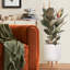 Concrete Effect Cylinder Round Planter on Hardwood Legs, Round Indoor Plant Pot Stand for Indoor Plants, Indoor Flower Pot with Honeycomb Pattern-89142825-89142827