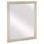 Aspasius Wood Flat Wall Mirror-185389297