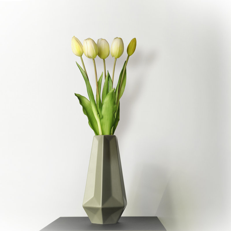 Tige de tulipe douce au toucher, Blanc