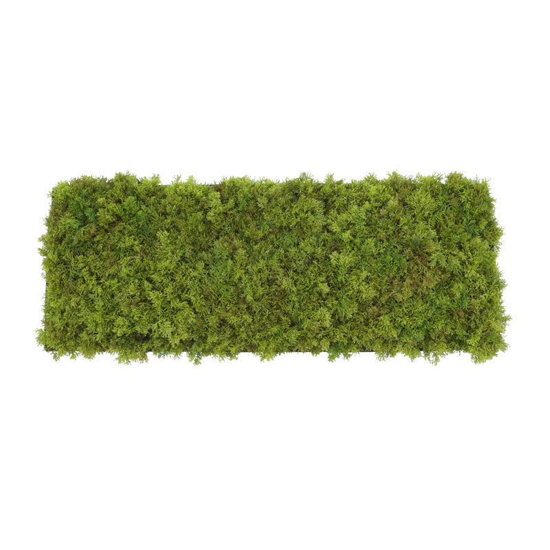 Moss 6" Artificial in Fiberstone Planter, Black, 6"H x 22"W x 7"D
