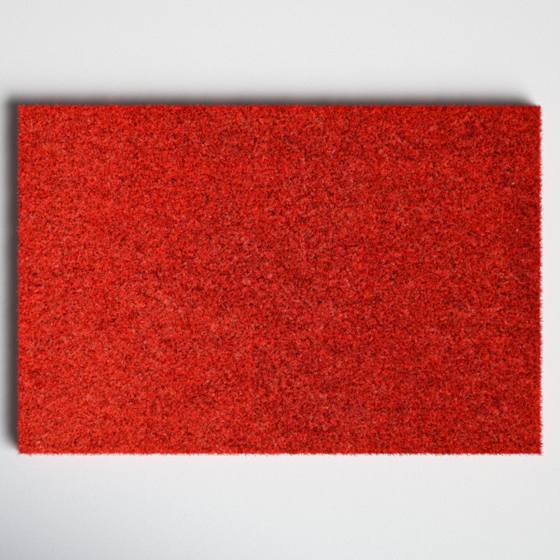 Tapis d'extérieur antidérapant Kasper, L 24 po x L 36 po, Rouge