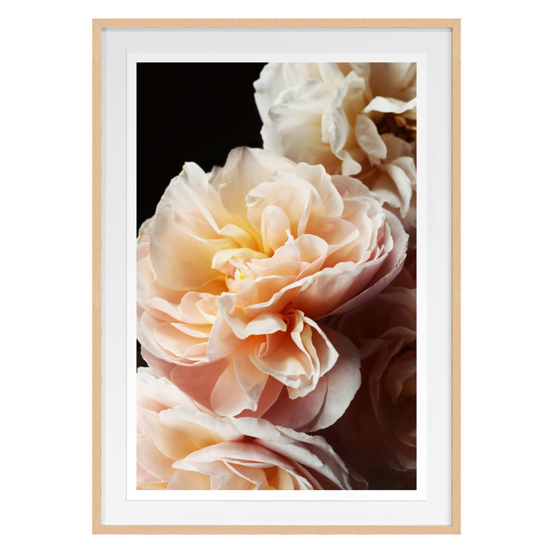 Floribunda I Print by Bock, Alicia, 28" H x 21" W, Maple Framed