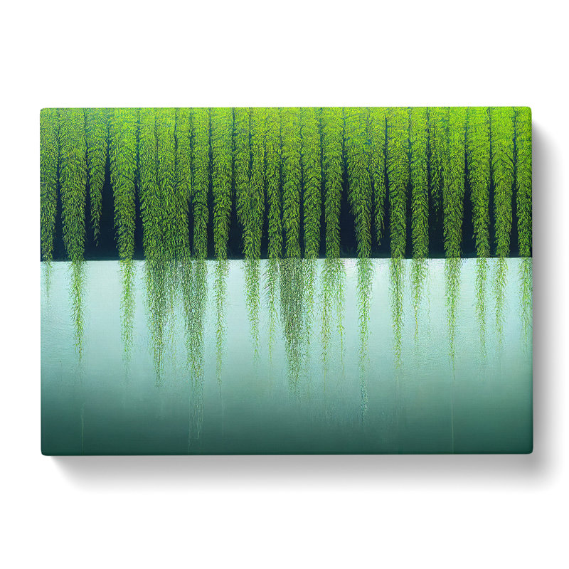 Sweet Weeping Willow Tree - Wrapped Canvas, 35cm H x 50cm W x 3cm D
