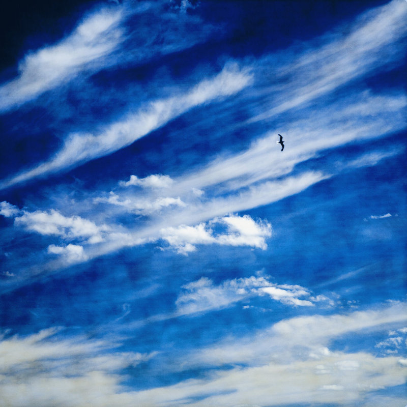 Shibori Sky - Picture Frame Photograph on Paper , 36" H x 36" W, White Framed