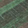 Machine Washable Indoor/Outdoor Cinead ACN1569 Green Rug