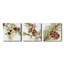 Simple Pine Cone III - Ensemble de 3 peintures sur toile tendue-2128218092