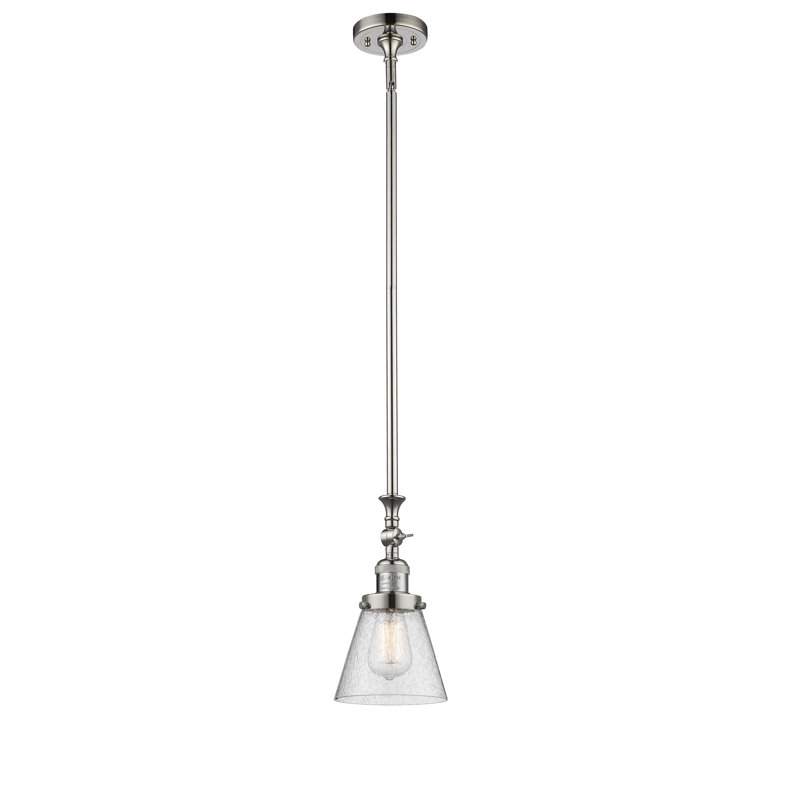 1 - Light Single Pendant, Polished Nickel, Seedy