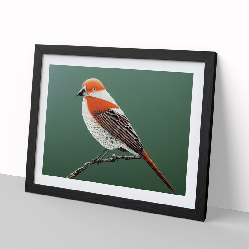 Engaging Bird - Single Picture Frame Print, Black Framed, 46cm H x 64cm W x 2cm D