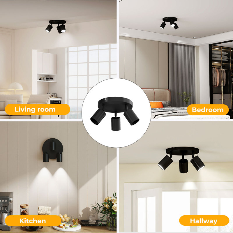 Steel Spotlight, Black, Black