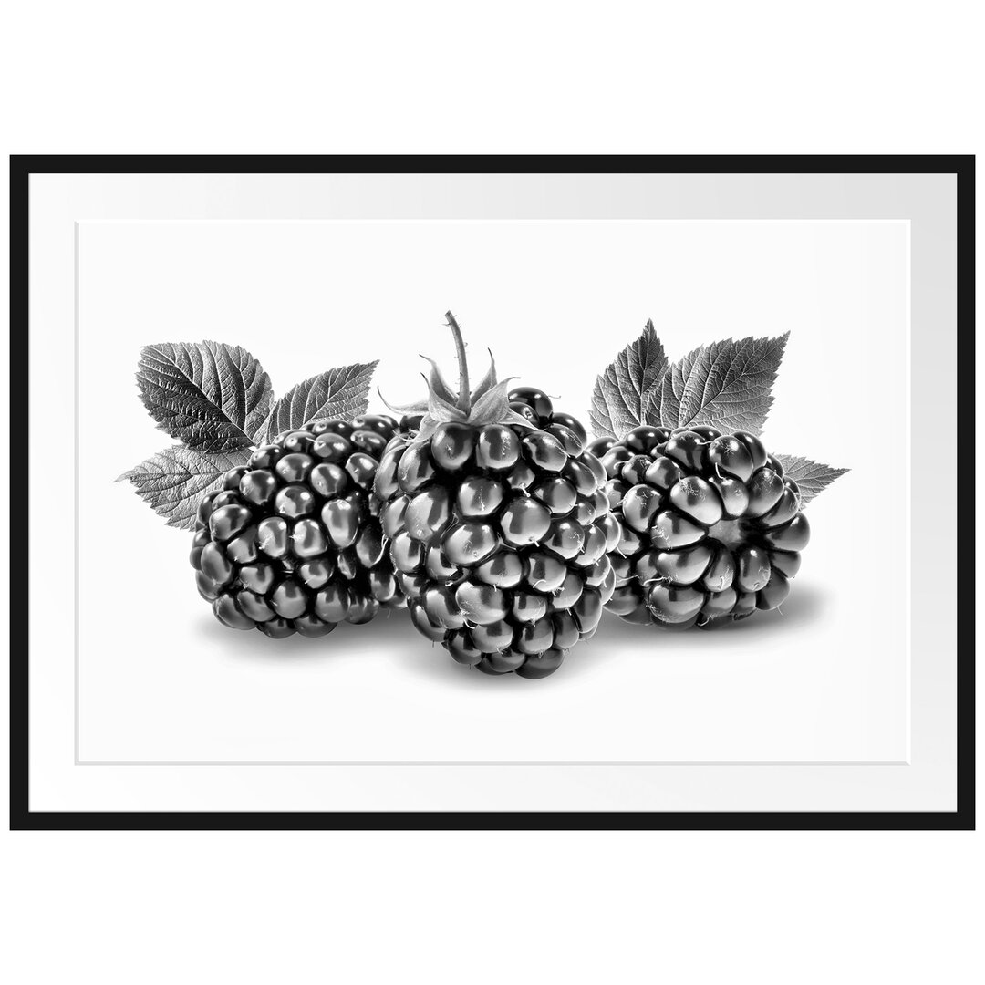 Gerahmtes Poster Leckere Brombeeren