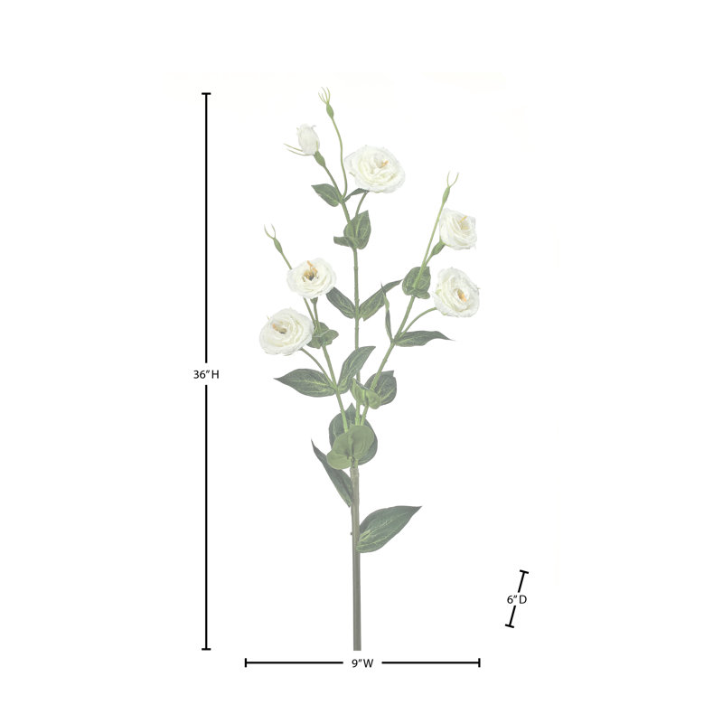 36 po Lisianthus 36 po, Blanc