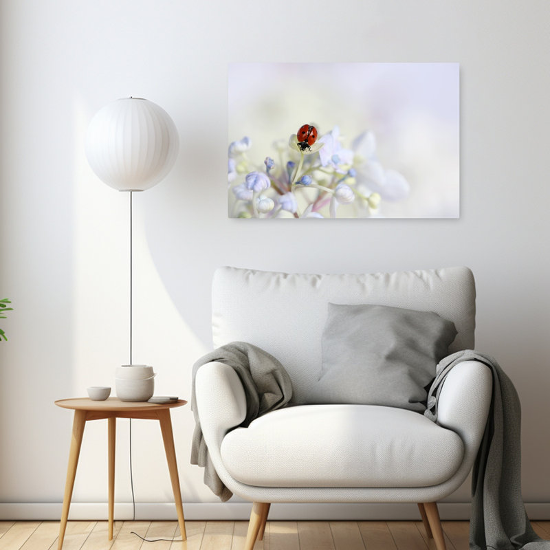 Ladybug On Soft Hydrangea Delicate Peaceful Serene Ladybug Flower Nature Wall Art Print - Print, 60.96cm H x 91.44cm W