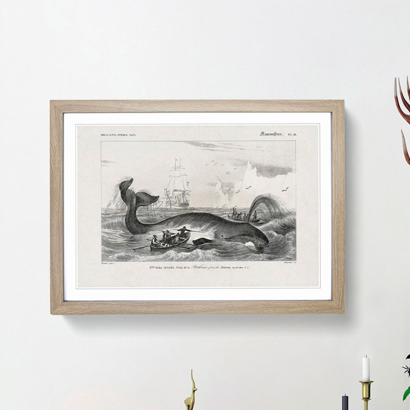 Hunting a Bowhead Whale by Charles dOrbigny - Framed Print, 27cm H x 36cm W x 2cm D, Oak Framed