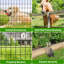 50ft Garden Wire Mesh, 15.2m PVC-Coated Welded Wire Fencing for Garden and Poultry Enclosures-130418085