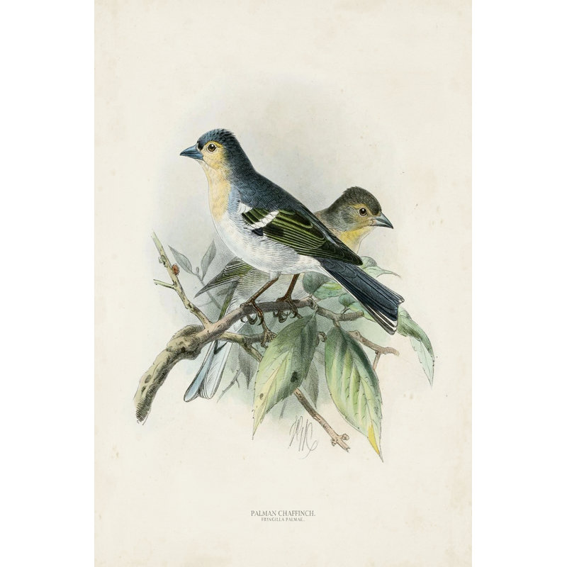 " Antique Birds II ", 30" H x 20" W x 1.25" D