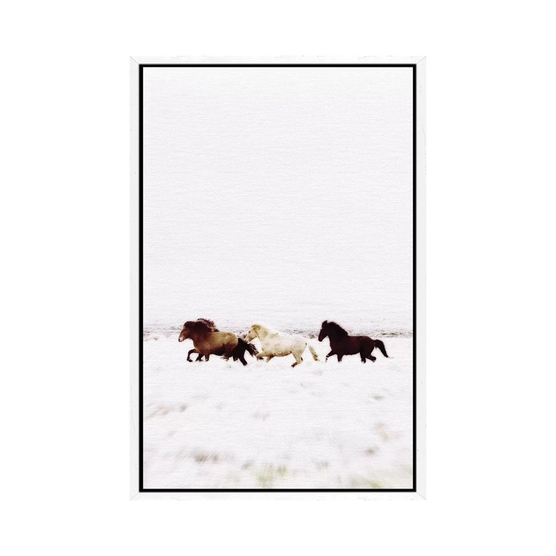 Wild Horses Iceland VIII by Monika Strigel - Print on Canvas, 66.04cm H x 45.72cm W x 3.81cm D, White Framed