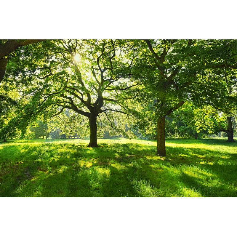 Hyde Park, London, UK by Irisphoto2 - Wrapped Canvas Print, 20cm H x 30cm W x 3.8cm D