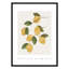 Amalfi Lemons - cadre photo, impression-66318802-66318817