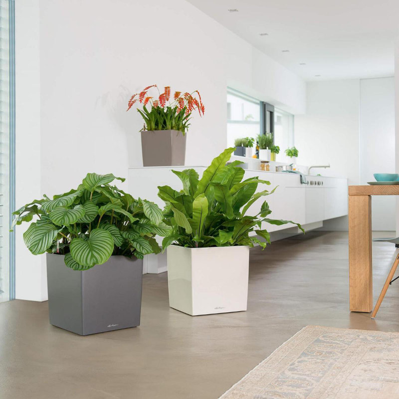 Planter Box, 30cm H x 30cm W x 30cm D, Cream White