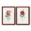 Pivoine écarlate - ensemble de 2 reproductions d'art-1707268030-1707268031-1707268024