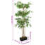 Faux Bamboo Tree in Pot-1169599038