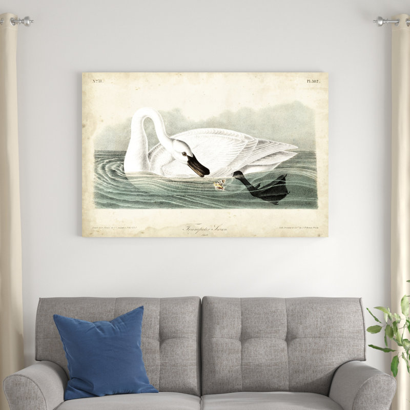 Cygne trompette I, H 32 po x l 48 po x P 1,25 po